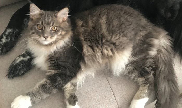 Malibou  250805-110357