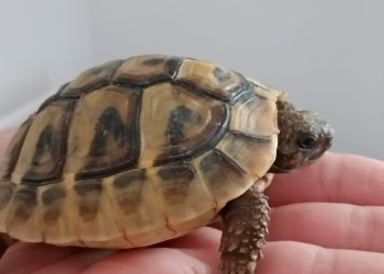 Mango 250427-160909
