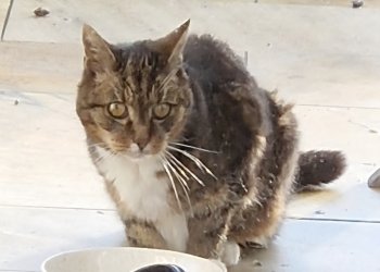 unbekannt 251210-133058