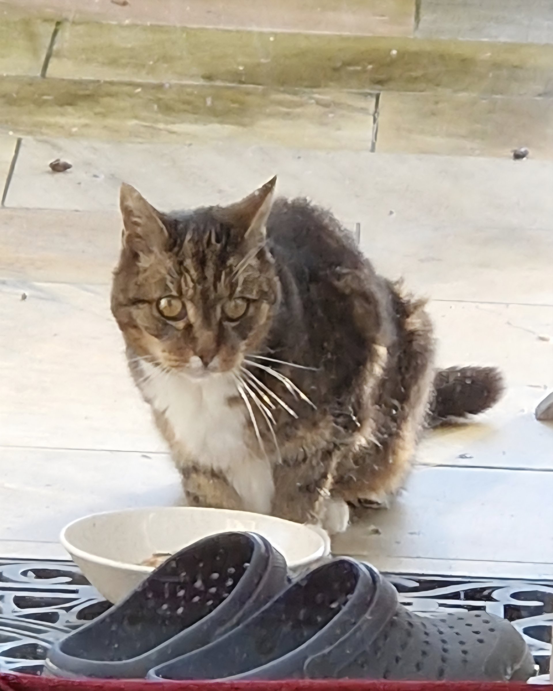 unbekannt 251210-133058