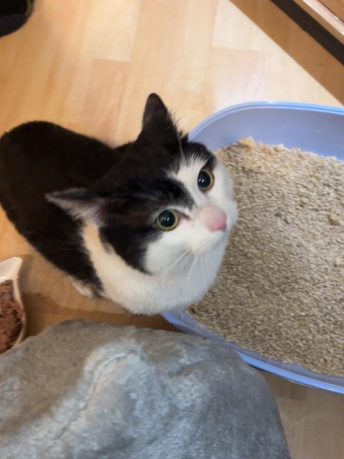 Marion-Karina Jung 260221-103259