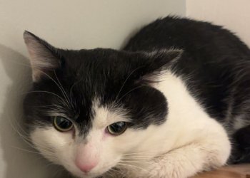 Marion-Karina Jung 260221-103259