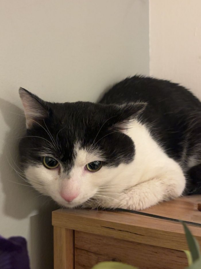 Marion-Karina Jung 260221-103259