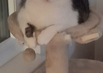 Marley  260410-145658