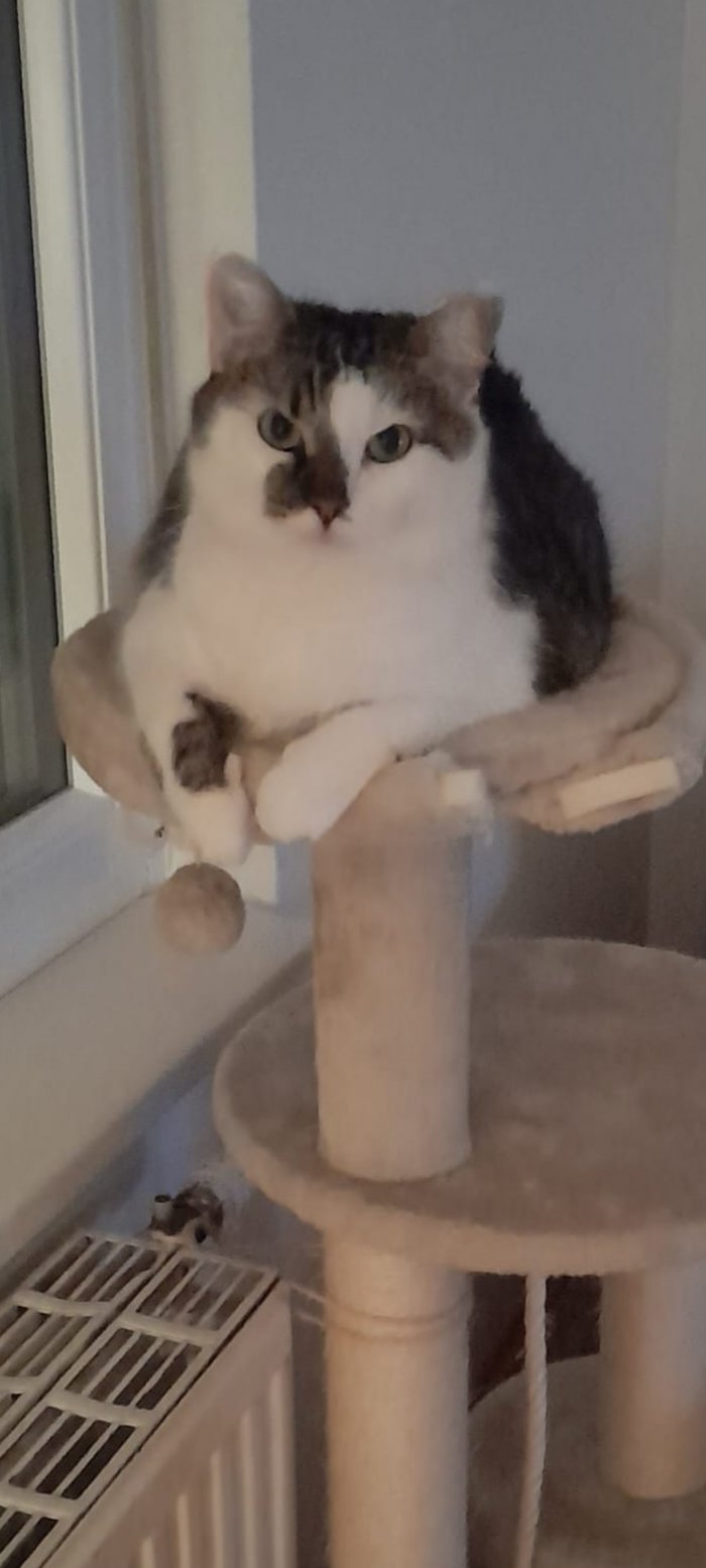 Marley 260410-145658