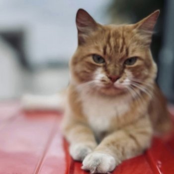 Marvel 260211-163936