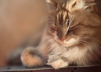 Marvel 260211-163936