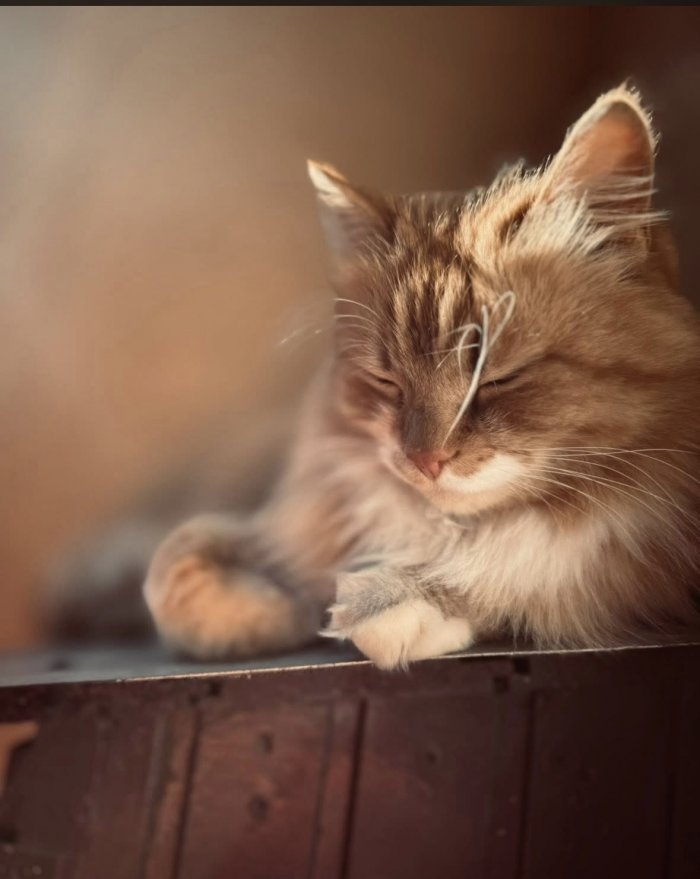 Marvel 260211-163936