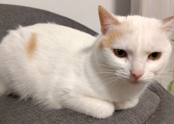 Maui-Momo 260119-132347