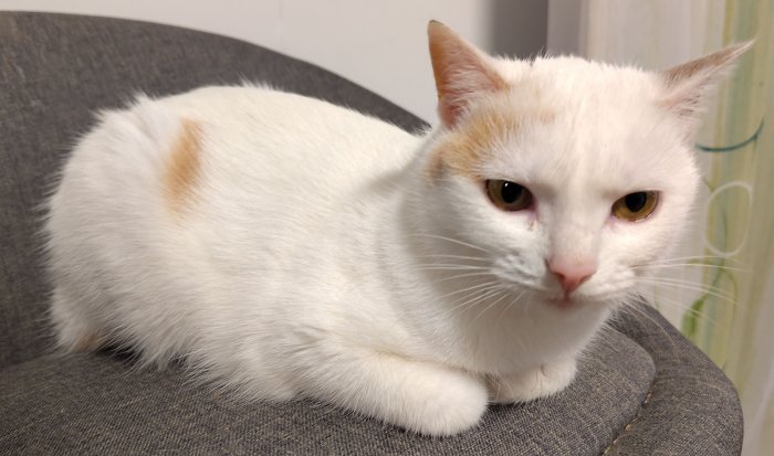 Maui-Momo 260119-132347