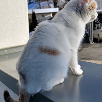 Maui-Momo 260119-132347