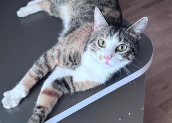 Mia 250908-112552