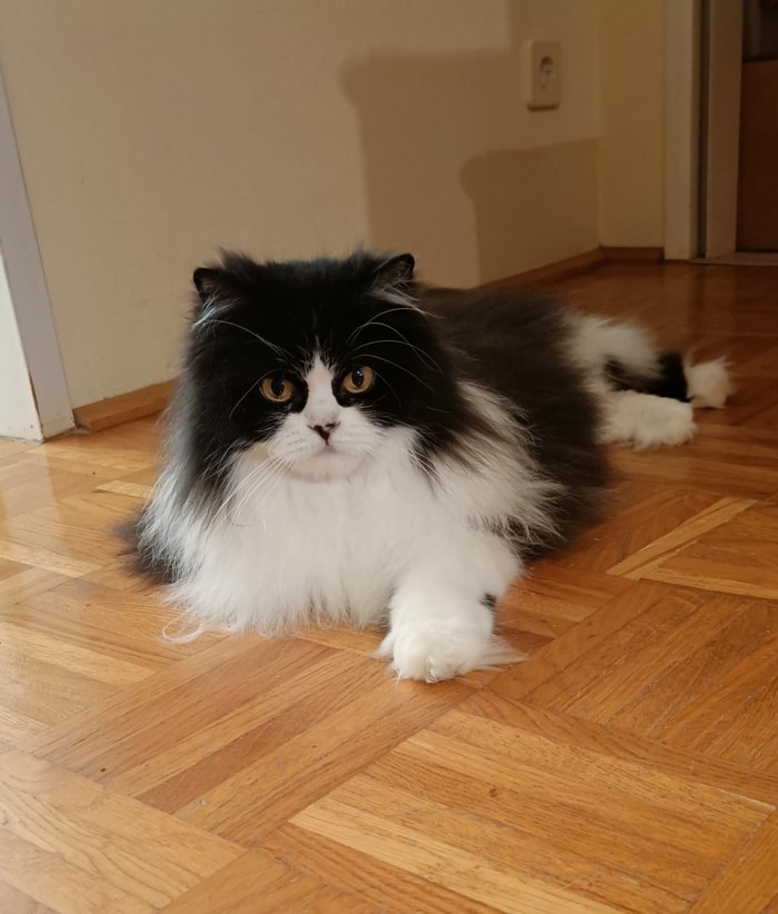 Mia 250624-212950