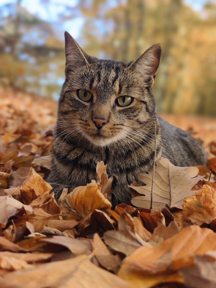 Mickey 260419-211353