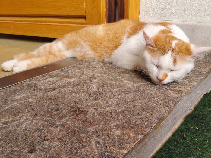 Miezerl 251105-123528