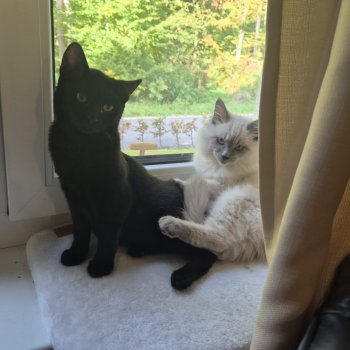 Millie 251029-092736