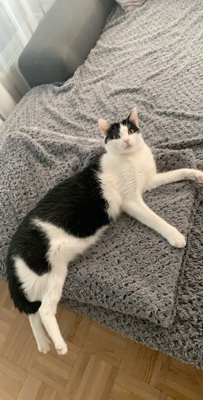 Milo 250412-233734