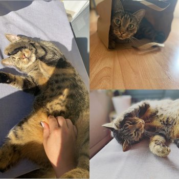 Milo 251023-120831