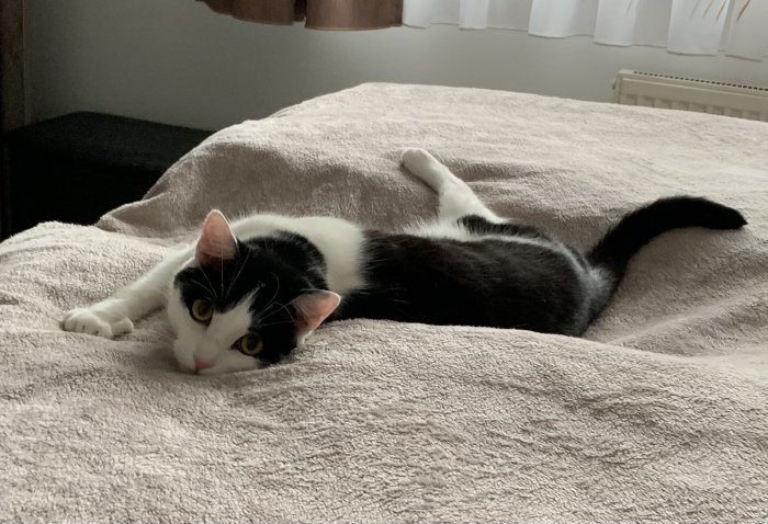 Milo 250412-233734