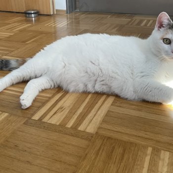 Mimi 250712-211132
