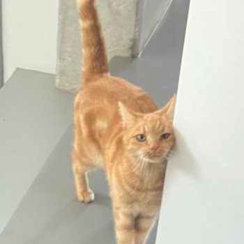 Mimi 250410-075430
