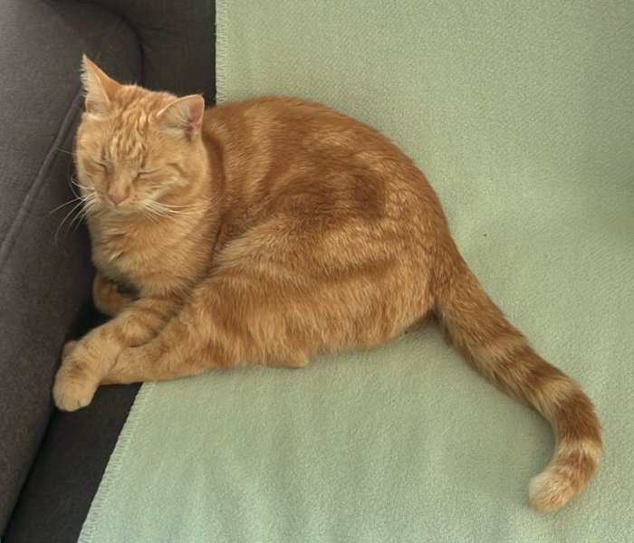 Mimi 250410-075430