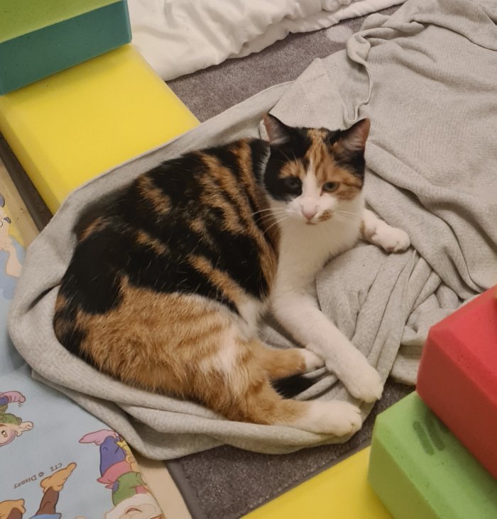 Mimi 250617-200637