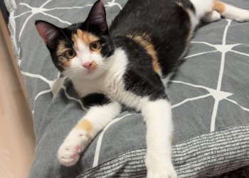 Minnie 260423-115949