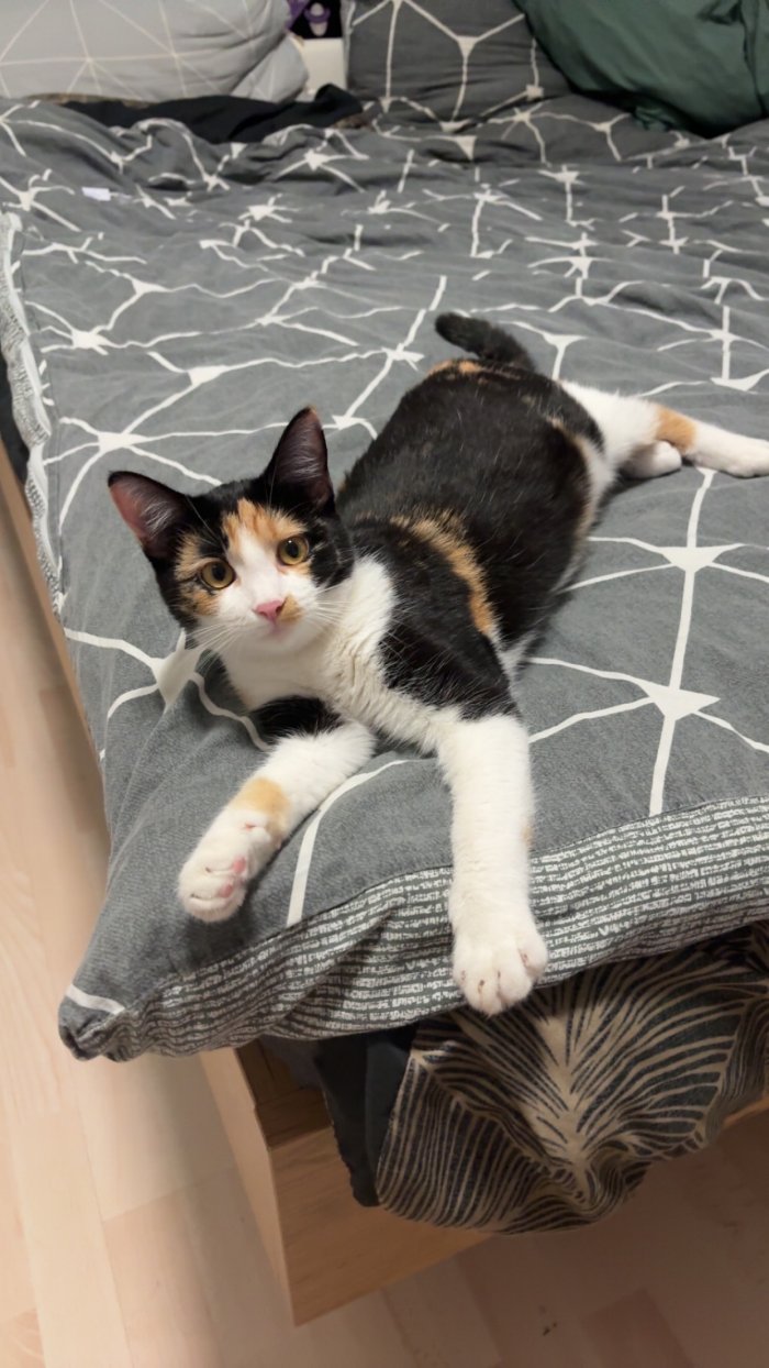 Minnie 260423-115949