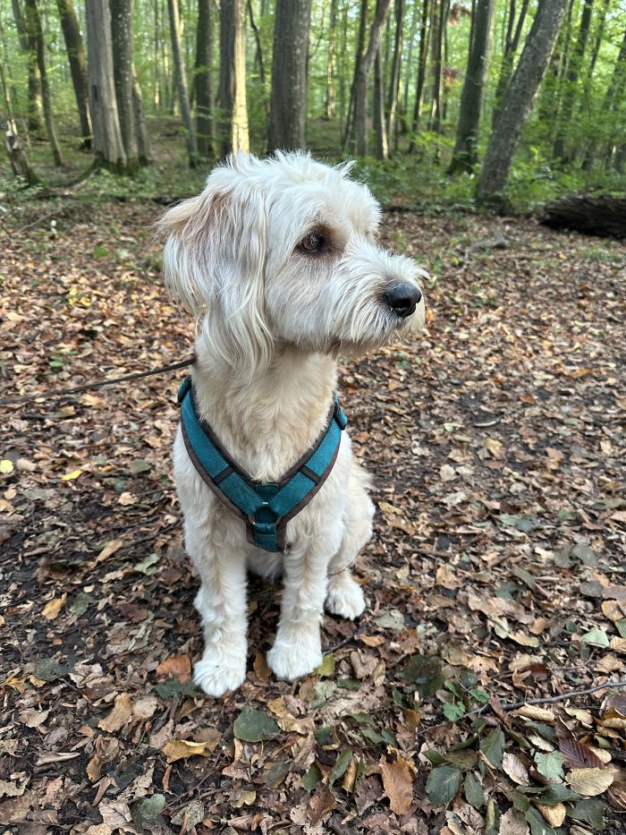 Minnie 250908-144316