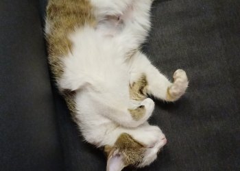 Miriam 260410-171712