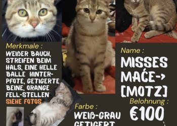 Misses Maće 260413-094450