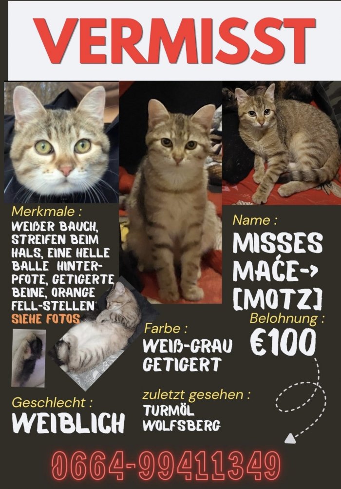 Misses Maće 260413-094450