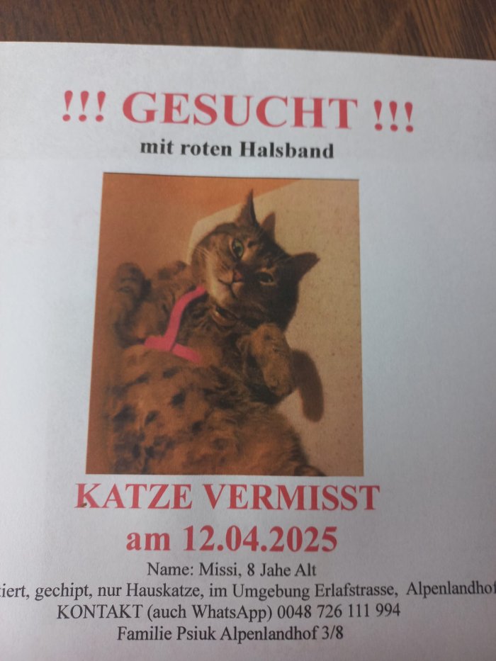 Missi 250413-102537