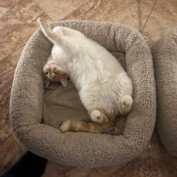 Mister Hobbes 260524-135834