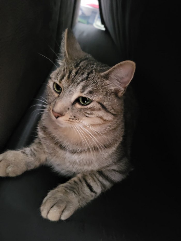 Mitzi 251016-092658