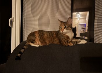 Molly 250713-142244