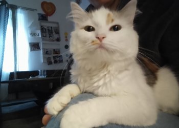 Molly 260527-235337