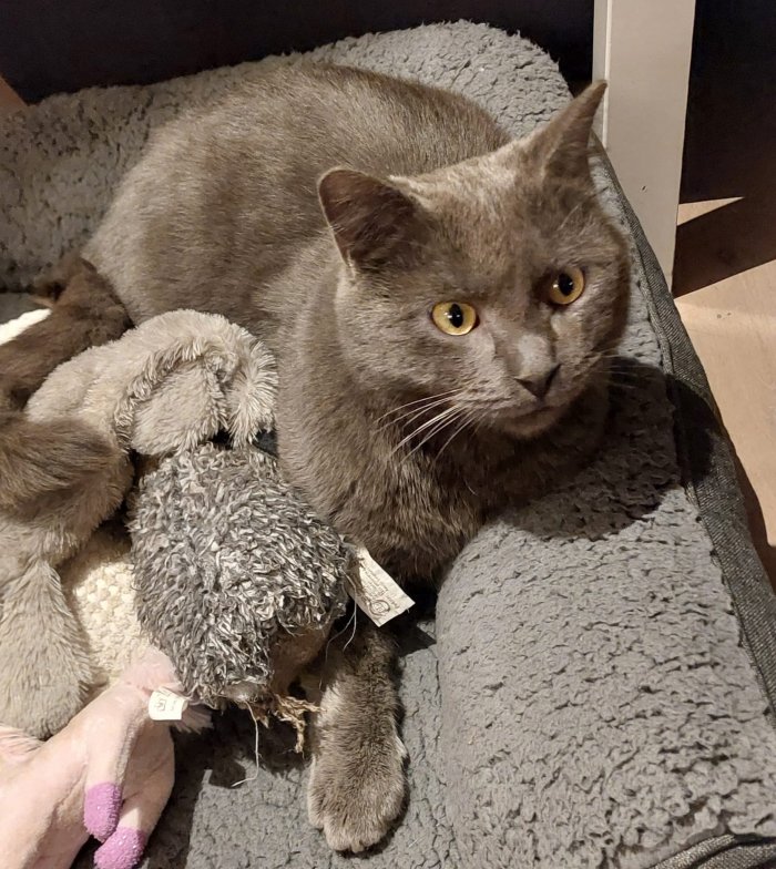 Moritz 250813-083544