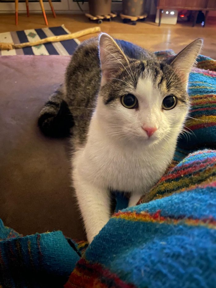 Moritz 251119-162312