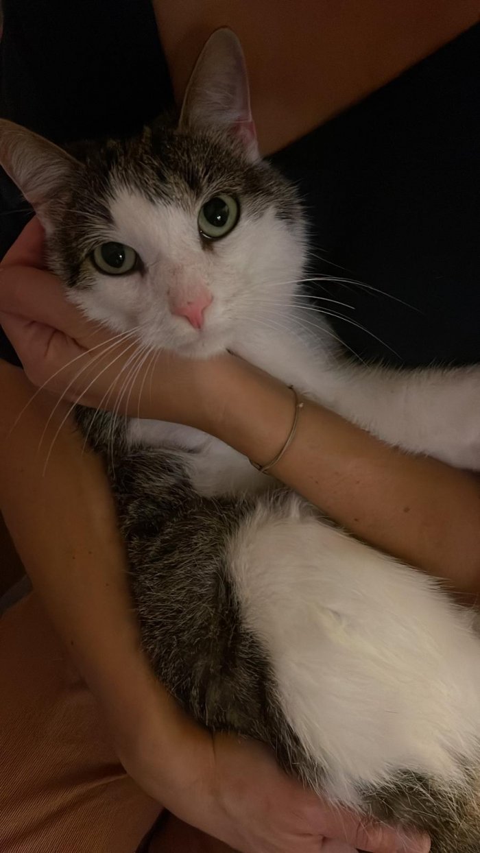 Moritz 251119-162312