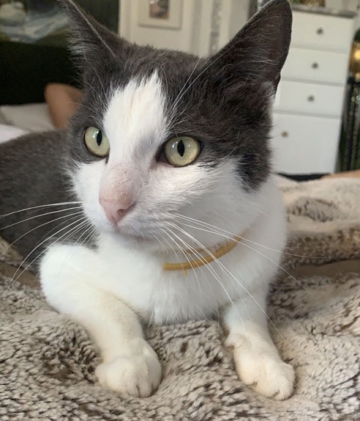 Moritz (Murl) 250929-121141