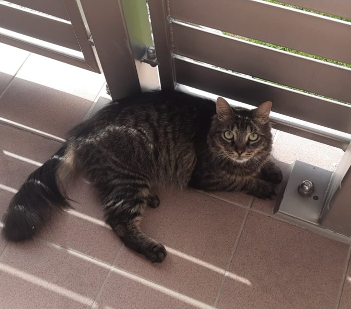 Mr. GRUMPY 250609-162403