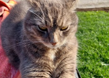 Muzmuz 251218-101003