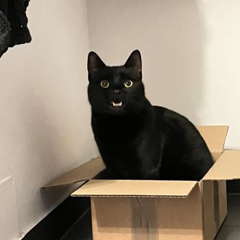 Nairobi 260212-203006