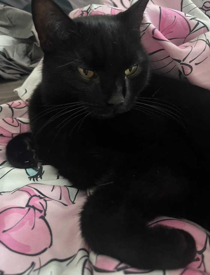 Nairobi 260212-203006