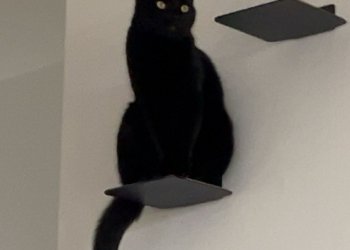 Nairobi 260212-203006