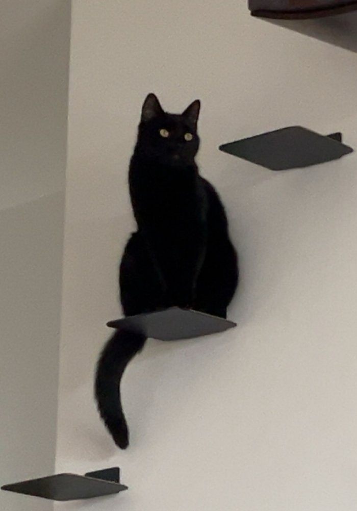 Nairobi 260212-203006