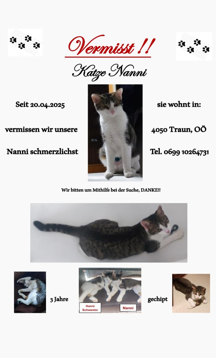 Nanni 250424-125705