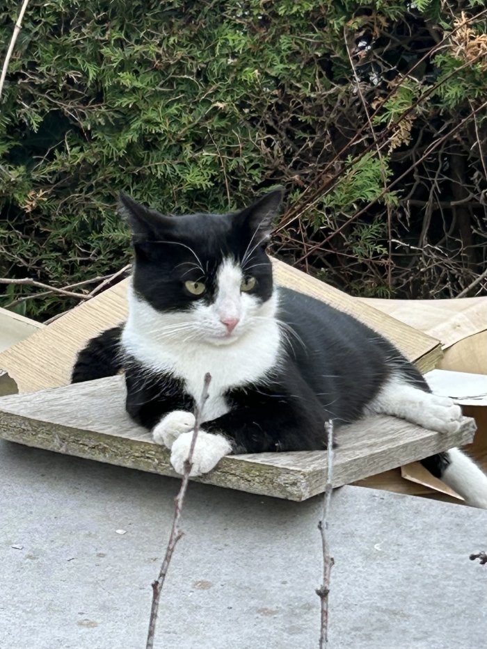 Neptun 250812-233415